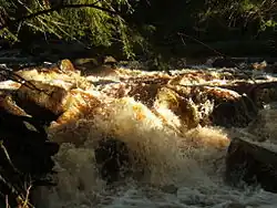 Das Schwarzwasser nahe Breitenbach (Potůčky)