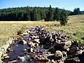 Das Schwarzwasser bei Luhy