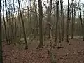 Der Gipfelgrat Richtung Heidkopf