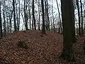 Der Hauptwall (Ostseite)