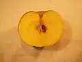 Apfelhälfte