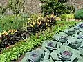 Gemüsegarten