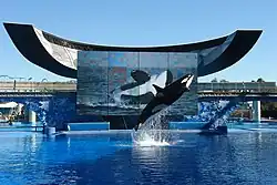 Schwertwale, Seaworld