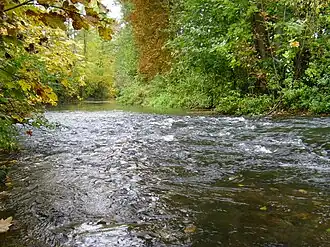 Seckach unterhalb von Adels­heim bei Niedrig­wasser.
