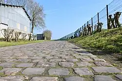 Kopfsteinpflaster