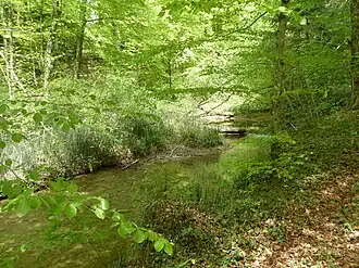 Der Seebach