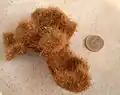 Zerpflückter Seeball