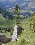 Verlandungsgebiet und Seelealpe vom Gipfel
