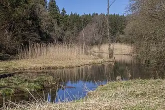 Seeweiher