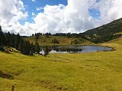 Seewenseeli im Moorgebiet