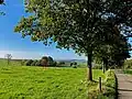 Allee zwischen Seidenfaden und Oberweinbach