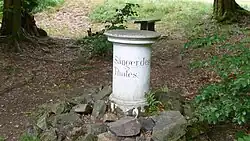 Dem Sänger des Tales