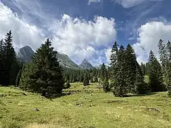 Umgebung