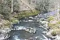 Flusslauf der Selbitz