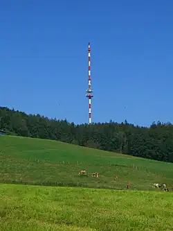 Bild des Objektes