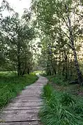 Venner Moor