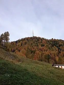 Bild des Objektes