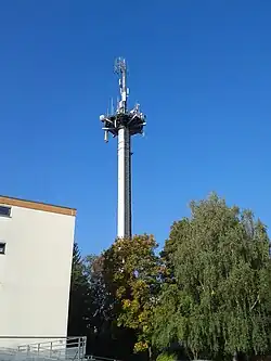 Bild des Objektes
