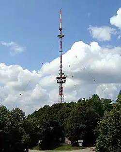 Bild des Objektes