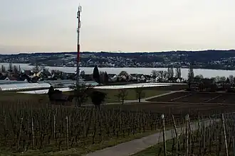 Bild des Objektes
