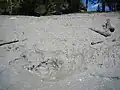 Ein Senktrichter im Seeboden an Pfingsten 2010; der See hatte zuvor die noch sichtbare Linie auf halber Höhe der Lehmwand erreicht, verschwand jedoch nochmals während einer Kaltwetterperiode bis Pfingsten.