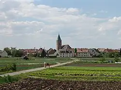 Sonderkulturen im Gärtnerdorf Sennfeld, vor den Toren der Stadt