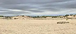 Dünen von Les Orpellières