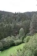 Burghügel