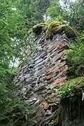 Nördliche Beringecke