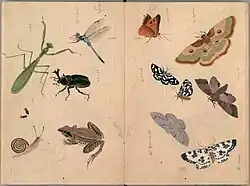 Insekten[2]