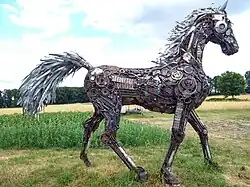 Pferd, Witten