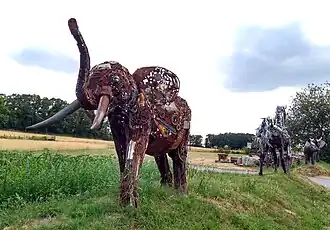 Elefant, Witten