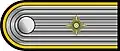 Schulterstück (Waffenfarbe Goldgelb: SS-Panzeraufklärer)