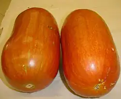 Cassabanana