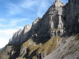 Sieben Hengste von Westen