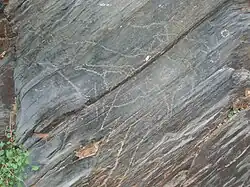 Prähistorische Stätten der Felskunst im Côa-Tal und in Siega Verde