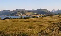 Riedlandschaft am Nordufer des Sihlsees, im Hintergrund Birchli am Fusse des Friherrenbergs, rechts Kloster Einsiedeln und Mythen