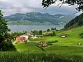Aussichtspunkt Vogelherd mit Blick auf den Sihlsee (2009)