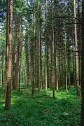 Blick vom Walderlebnispfad