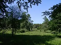 Parklandschaft