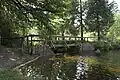 Der Überlauf des Silberteichs in den Brunnenbach von der See-