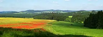 der Simmersberg bei Schnett