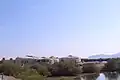 Khor Kalba Turtle and Wildlife Sanctuary 2019
