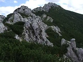 Sivý vrch