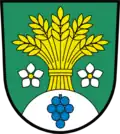 Wappen von Skršín
