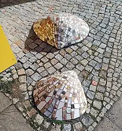 Herzmuscheln