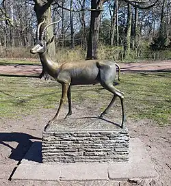 Gazelle