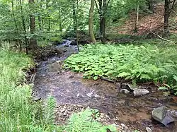 Mordgrundbach (Slatina) im tschechichen Teil