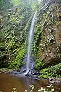 Kleiner Wasserfall im Nationalpark