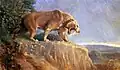 Smilodon von Charles R. Knight (1909). Öl auf Leinwand, ca. 18 × 30 Zoll. American Museum of Natural History